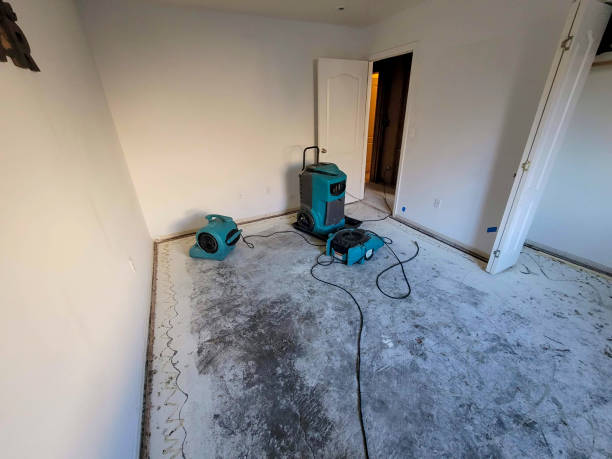 Best Water damage mitigation services  in Homer, LA