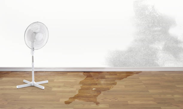 Best Residential water damage restoration  in Homer, LA