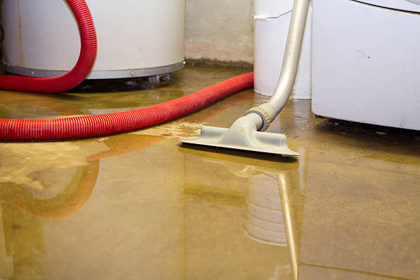 Best Flood restoration services  in Homer, LA