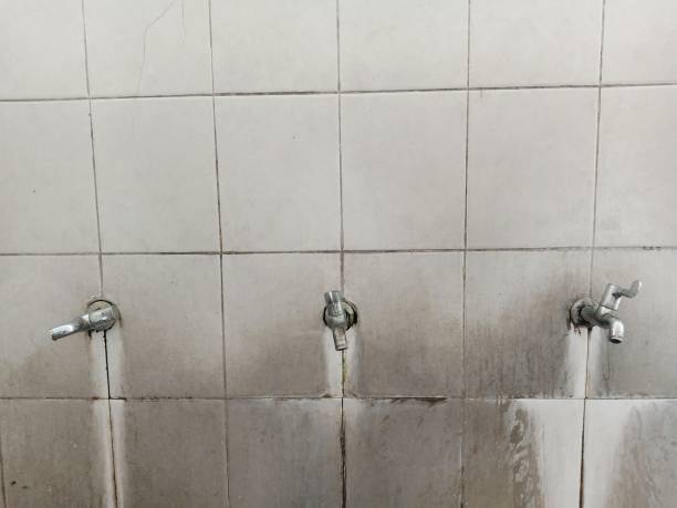 Best Ceiling water damage repair  in Homer, LA