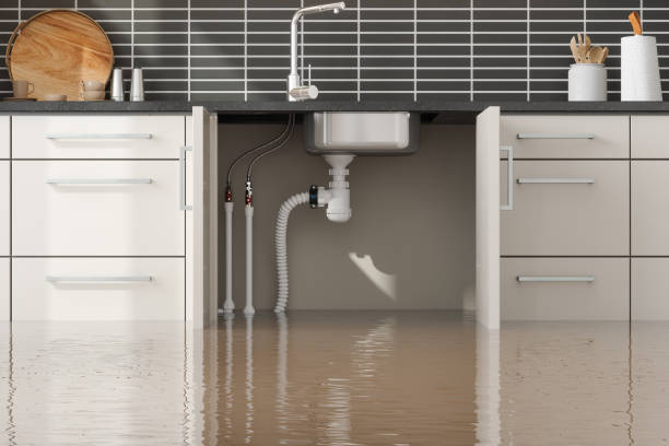 Best Water damage repair service  in Homer, LA